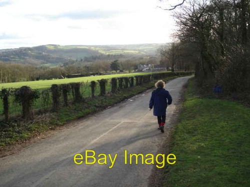 Photo 6x4 lane - 6x4, farm