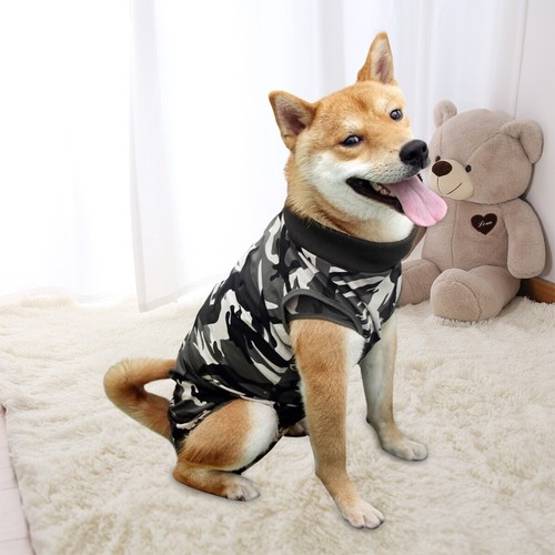 Pet dog recovery suit - pet, wound