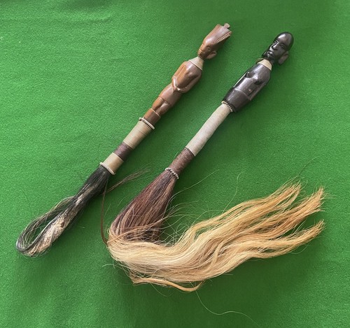 African horse hair fly - fly, whisks