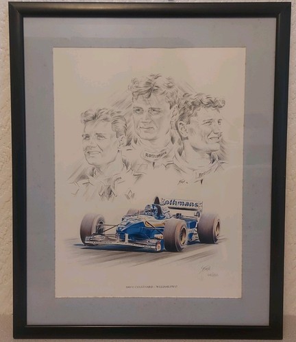 David coulthard williams - david,