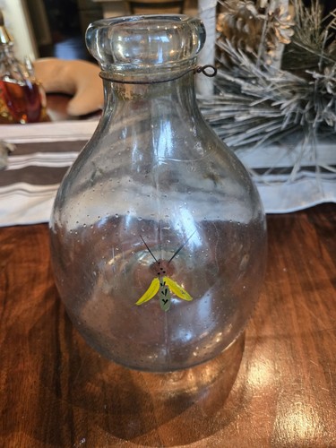 Antique wasp catcher glass jar - wasp,