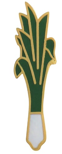 Wales welsh leek david s - welsh, st