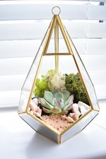 Full Terrarium Kit with Succulent or Cactus DIY Plant Lover Birthday Gift
