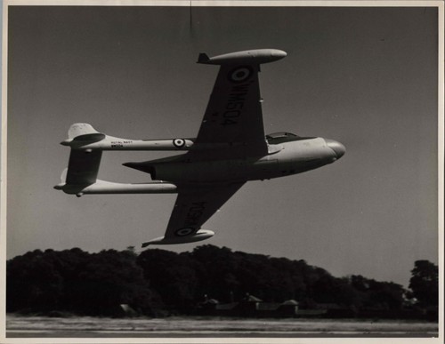 Havilland sea venom - venom, wm504