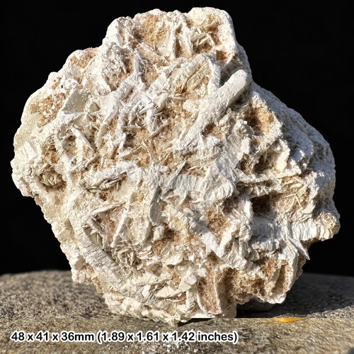Desert rose gypsum spiritual - rose,