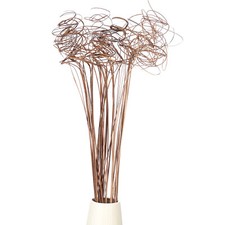 30 Pcs Dried Curly Willow Branches Natural Branches Twigs, Wooden