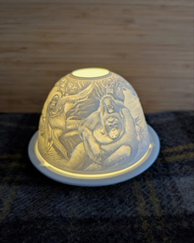 Nordic lights orangutan bone - nordic,