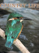 Lancia Y10 & Suzuki SJ 413