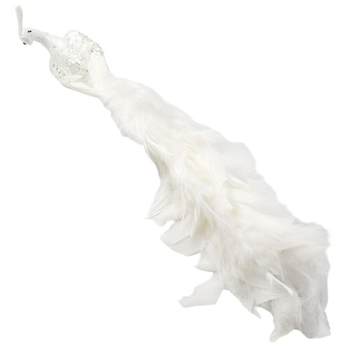 Enchanting white peacock - enchanting,