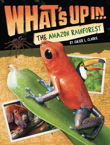What the amazon - in,