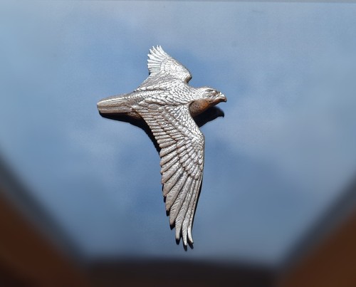 Large pewter pin - pewter, hawk
