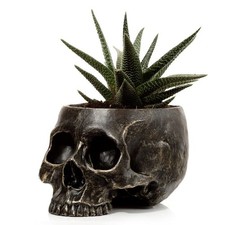 Gothic Skull Planter Pot Resin