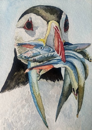Original watercolour painting - watercolour,