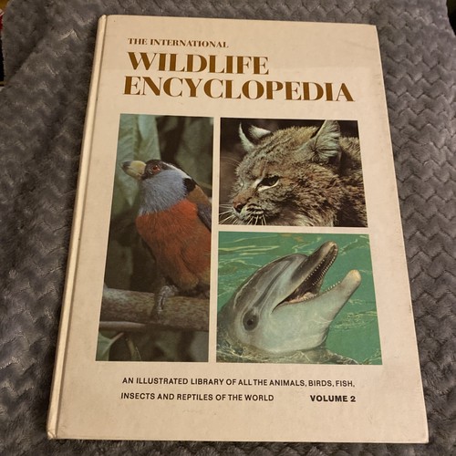 The international wildlife - international,