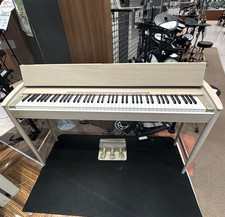 【Display Model】ROLAND