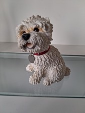 West Highland White Terrier."