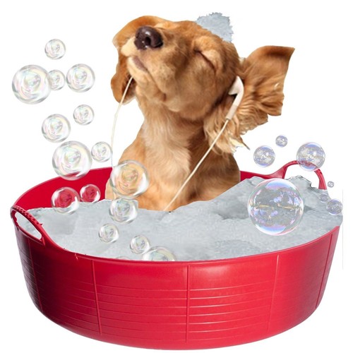 Red dog bath - bath,, paddling