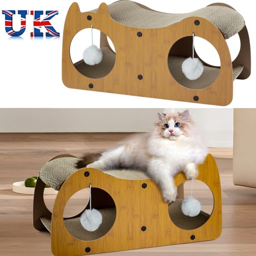 Cats house scratching - house,