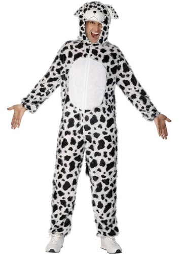 Adult dalmation dog animal - dog,