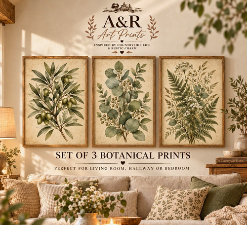 Set botanical art - botanical,