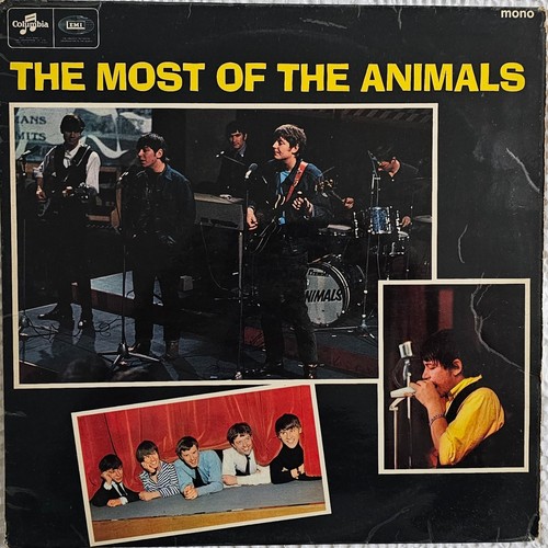The animals most of - the,