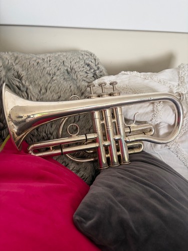 Deg signature cornet - signature, bb