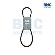 Motaquip ribbed drive belt - v-ribbed,