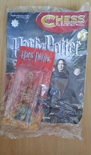 Harry potter wizard chess - wizard,