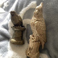 Two Gold Coloured Birds One Cockatoo And The Other A Robin
