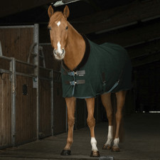 Equithème Teddy Polar Fleece