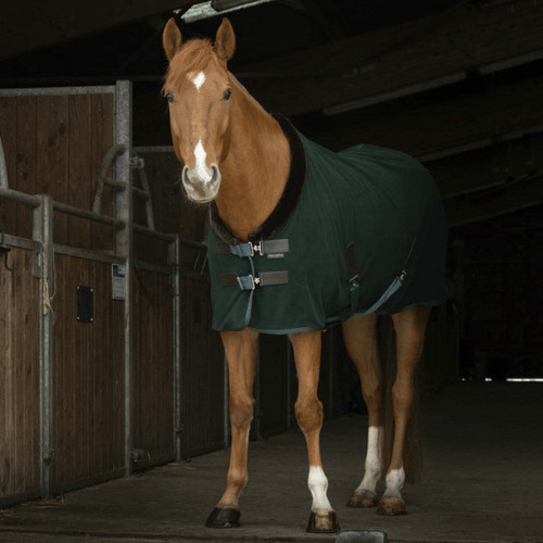 Equithème teddy polar fleece - equithème,