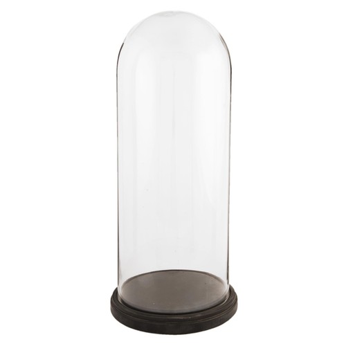 60cm glass display bell jar - 60cm,
