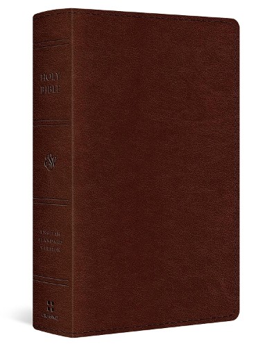 Esv single column bible - single,