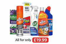 essential house hold cleaners