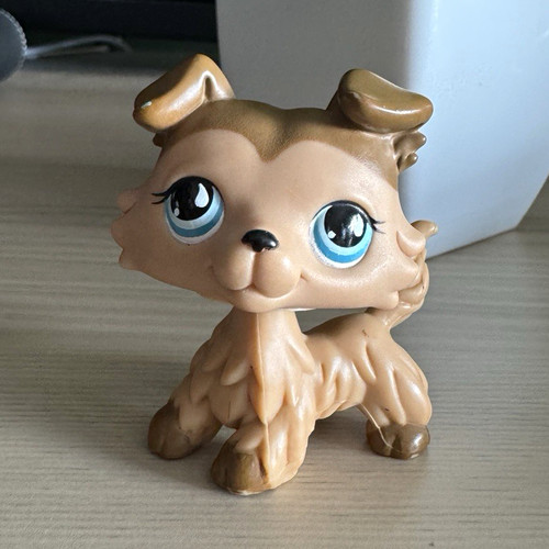 Genuine authentic hasbro - genuine,