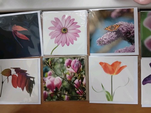 Glebe cards wholesale - 30, cards,