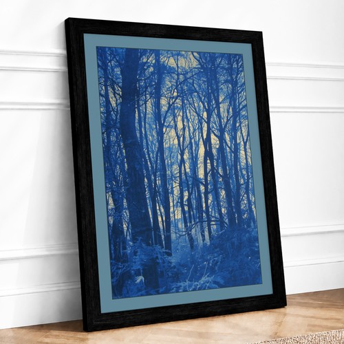 Winter forest receding - winter,