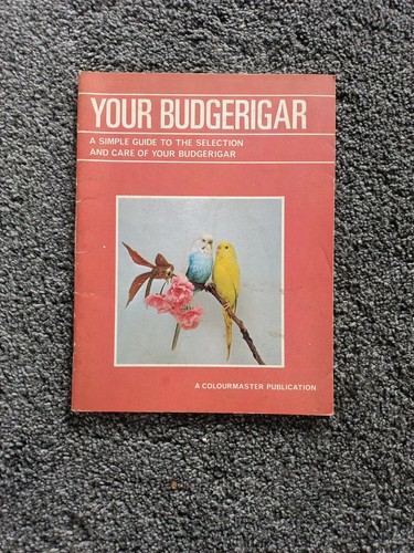 Your budgerigar - your,