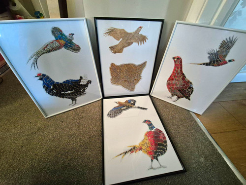 Set framed wildlife - set, 4