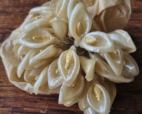 Antique french wax flowers - antique,