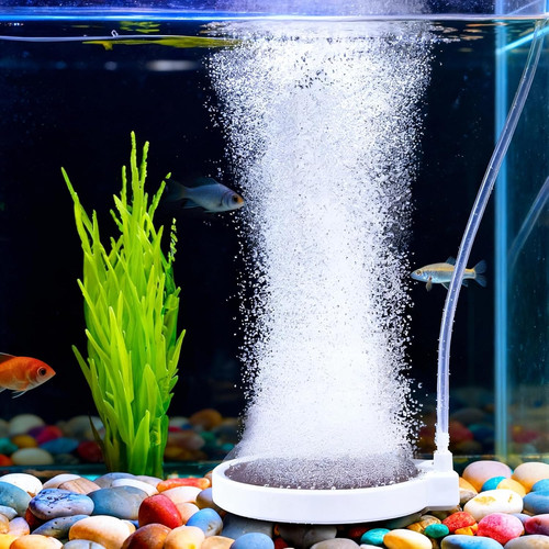 Fish tank air - air, stone