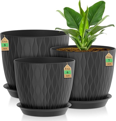 Pack plastic plant - pack,