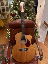 Freshman AP3JEM12 12 String