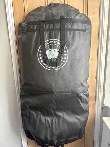 Black canada goose chilliwack