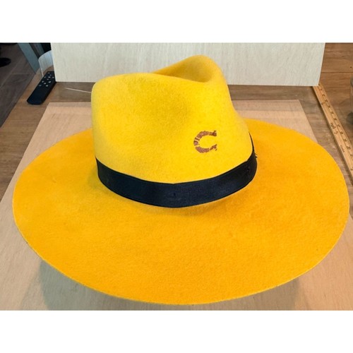 Charlie horse large yellow - charlie,