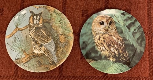 Owl collector plates - 2,