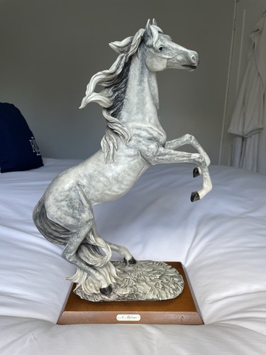 Beautiful belcari rearing - beautiful,