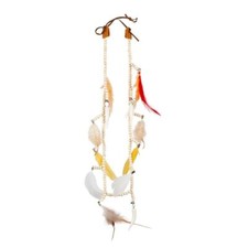 FEATHERED NATIVE AMERICAN