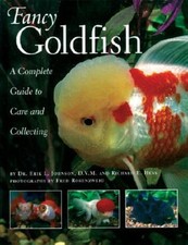 Fancy Goldfish: Complete Guide