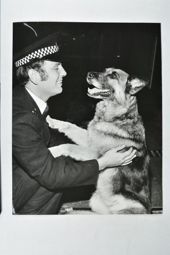 Constable raymond cooper - constable,